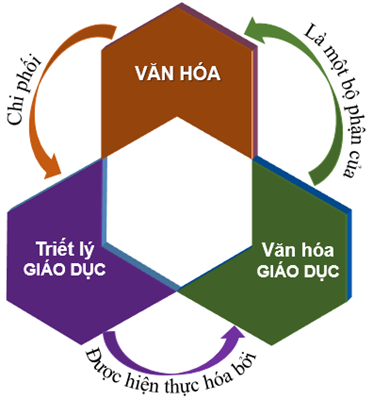 Ảnh 4